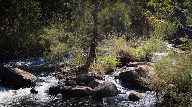 Navigating Cultural Lines: Appreciation vs. Appropriation in Fashion